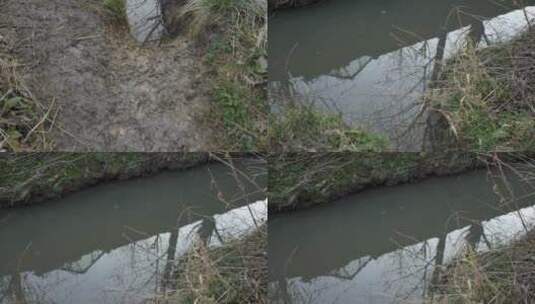 浑浊的河水高清在线视频素材下载