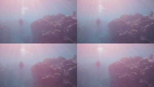 潜水员在暗礁处潜水高清在线视频素材下载