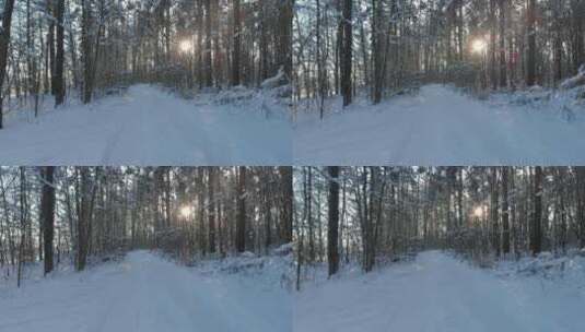 白雪覆盖的森林道路高清在线视频素材下载