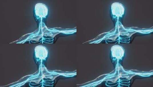 神经 人体 神经系统 毛细血管 医学高清在线视频素材下载