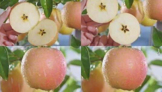 雀斑美人苹果高清在线视频素材下载