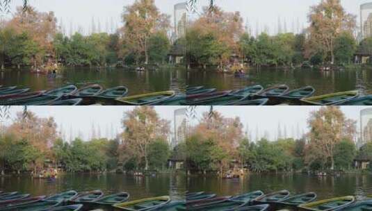 秋季成都人民公园里划船游玩的游客风景高清在线视频素材下载