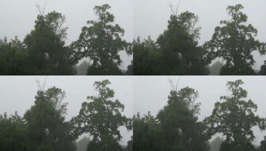 下雨雨落地面镜头高清在线视频素材下载