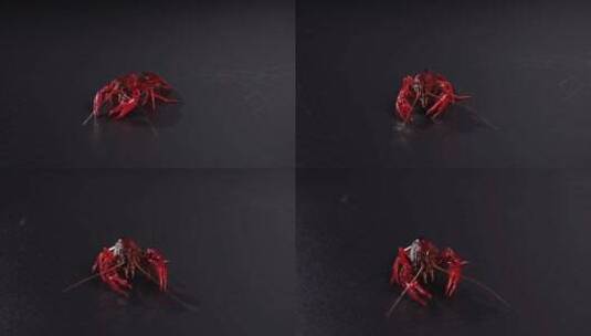 【4K】新鲜爬行小龙虾高清在线视频素材下载