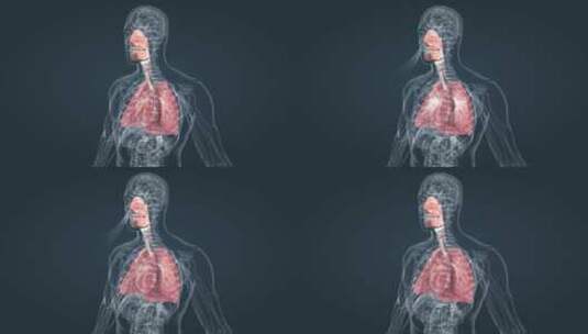 医学气管炎肺炎肺呼吸肺活量深呼吸三维动画高清在线视频素材下载