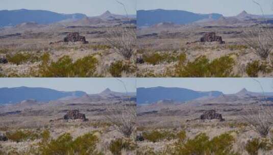 德克萨斯州沙漠中的大弯岩石高清在线视频素材下载