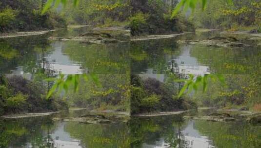 4K高清相机摄山间小溪小鸟点水高清在线视频素材下载