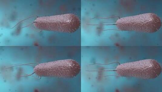 细菌真菌细胞微生物杆菌DNA病菌病原体高清在线视频素材下载