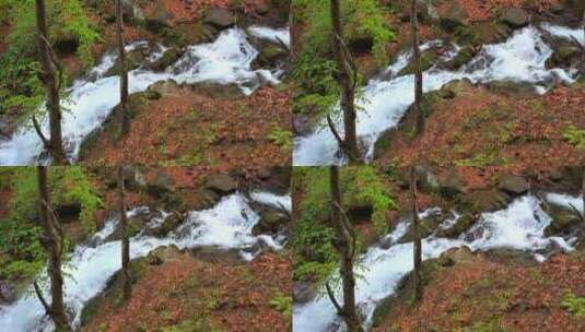 秋季森林瀑布景观高清在线视频素材下载