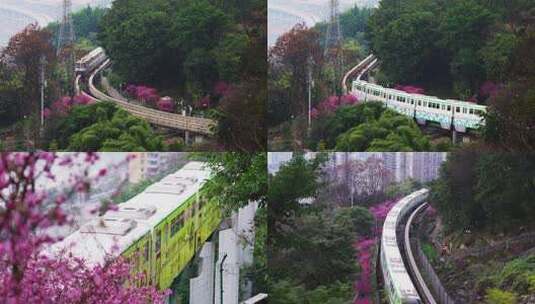 重庆 佛图关公园 轻轨地铁穿过梅花 春天高清在线视频素材下载