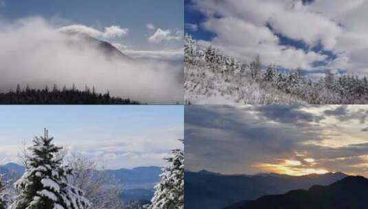 山顶森林雪景云海日出雪松雪挂风景高清在线视频素材下载