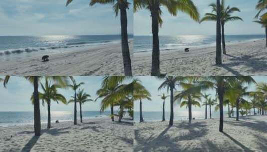 海南椰林阳光沙滩航拍高清在线视频素材下载