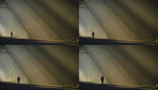 4K丁达尔光森林阳光树林光影人走路意境高清在线视频素材下载