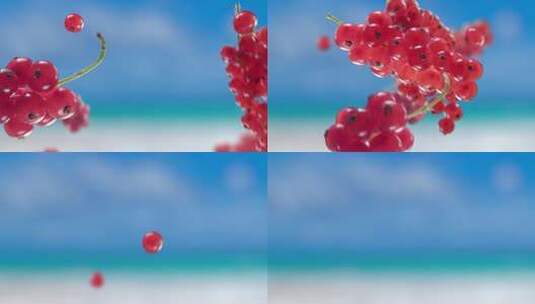 海滩热带夏季背景下的红色浆果高清在线视频素材下载