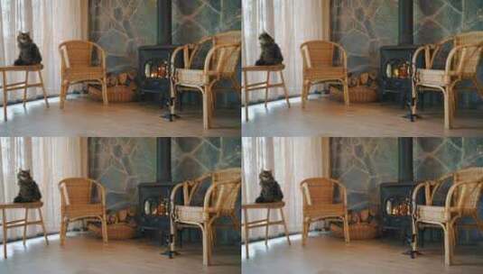 燃烧的壁炉与柳条扶手椅和毛茸茸的猫高清在线视频素材下载