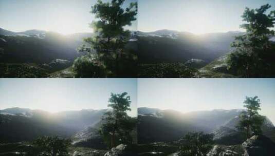 松树前景、大自然山脉高清在线视频素材下载