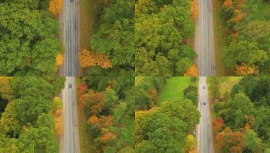 秋天森林道路的鸟瞰图高清在线视频素材下载