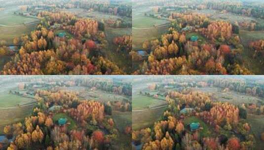 波兰波莫斯基卡舒比亚科尔布迪的秋天高清在线视频素材下载