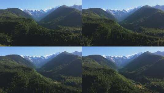 美丽的绿色山脉高清在线视频素材下载