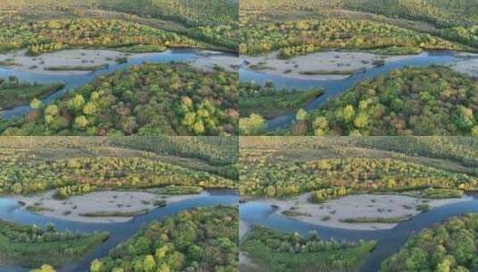 航拍秋天森林河风景高清在线视频素材下载
