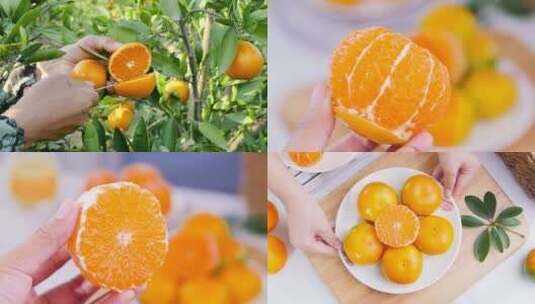 橘子  新鲜红橘高清在线视频素材下载