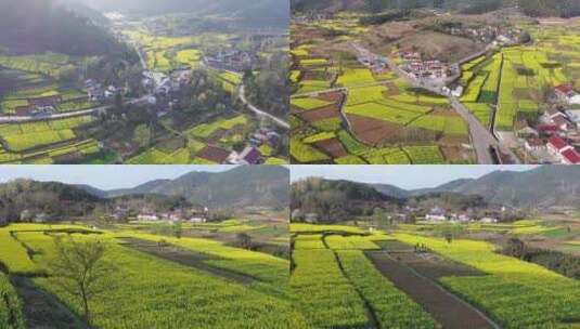 汉中油菜花花海梯田农田风光航拍2高清在线视频素材下载