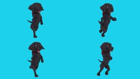 有趣的3D卡通狗跑（带alpha通道）高清在线视频素材下载