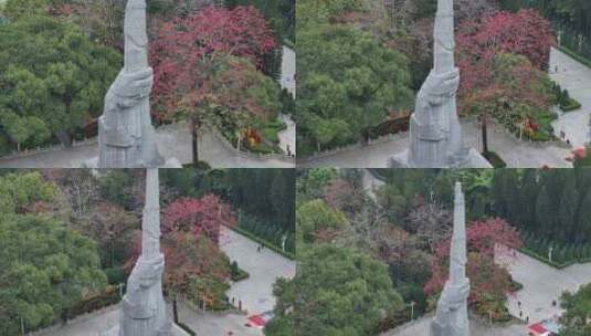 中国广东省广州市越秀区烈士陵园木棉花高清在线视频素材下载