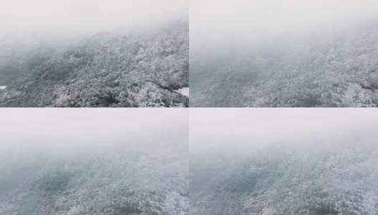 成都龙泉山森林公园下雪高清在线视频素材下载