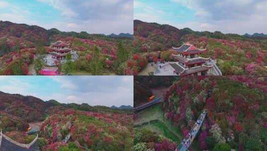 贵州毕节百里杜鹃景区航拍高清在线视频素材下载
