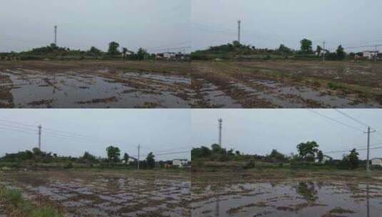 四川乡村土地、白鹭飞鸟高清在线视频素材下载