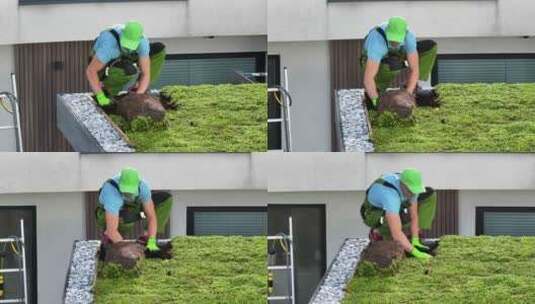 园丁在绿色屋顶上工作高清在线视频素材下载