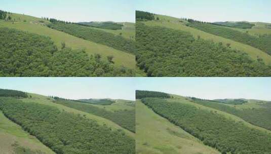 航拍内蒙古呼和浩特敕勒川高山草原夏季风光高清在线视频素材下载