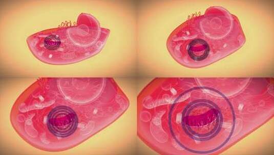 4K生物细胞和线粒体的抽象动画高清在线视频素材下载