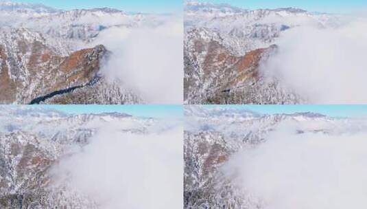 四川西岭雪山美丽风景冬天白雪皑皑云雾缭绕高清在线视频素材下载