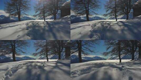 雪山森林景观高清在线视频素材下载