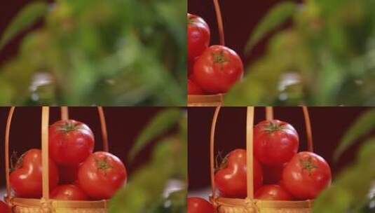 西红柿番茄菜篮子 (8)高清在线视频素材下载