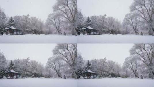 寧安公園大雪1（03.19）高清在线视频素材下载