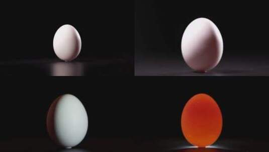 一枚白色鸡蛋高清在线视频素材下载