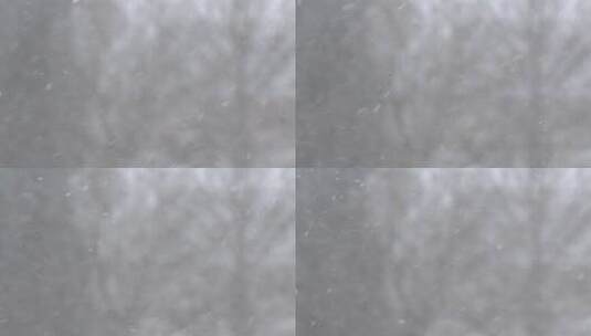 冬季场景中的降雪高清在线视频素材下载
