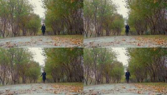 秋天独自走在公园小路上的中国女性高清在线视频素材下载
