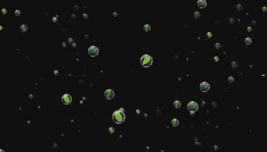 泡泡绿叶飞舞特效带通道高清在线视频素材下载