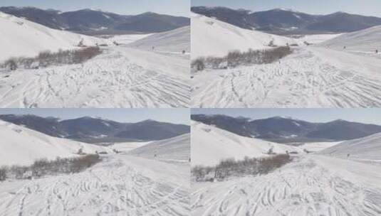 新疆滑雪·雪山4K航拍高清在线视频素材下载