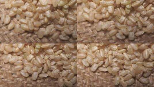 健康粗粮糙米高清在线视频素材下载