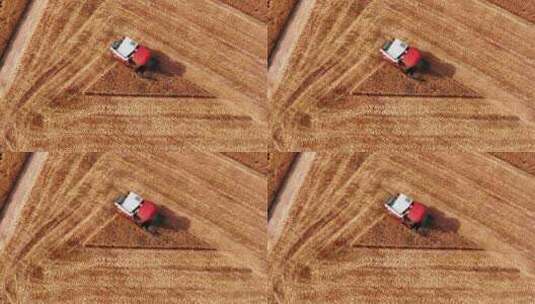 小麦丰收收割航拍高清在线视频素材下载