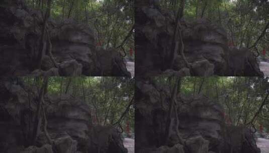 杭州三天竺三生石风景高清在线视频素材下载