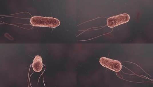 医学微观生物病毒细胞形态医疗三维动画展示高清在线视频素材下载