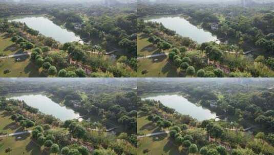 深圳  华富村 中心公园  湖 4k高清在线视频素材下载