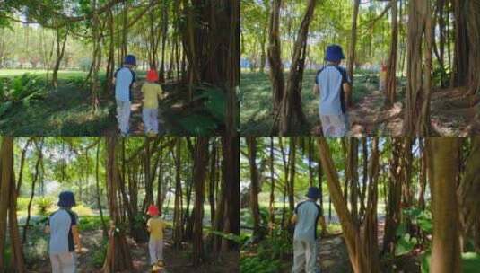 小朋友 小学生 亲近大自然 大榕树 树根高清在线视频素材下载