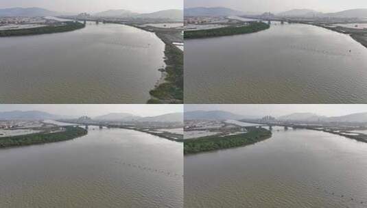 航怕福建漳州水源九龙江河流风光高清在线视频素材下载
